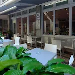 Orquidea