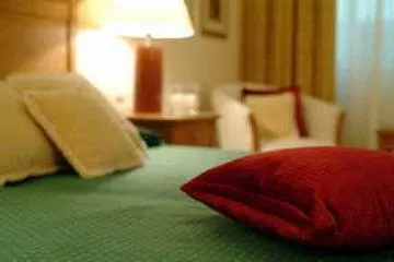 Orquidea Funchal (Madeira)