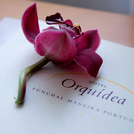 Orquidea فندق