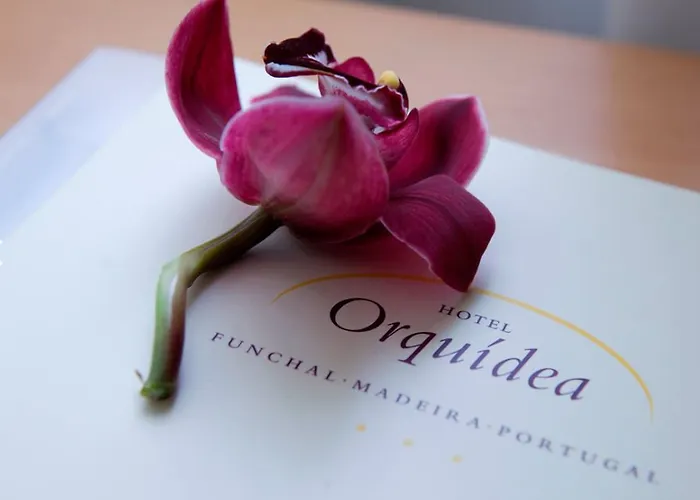 Orquidea ホテル